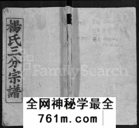 湖北杨氏族谱-杨氏八修宗谱 [20卷,世系2卷,首4卷](别名：杨氏三分宗谱、浠川杨氏八修宗谱).pdf电子版