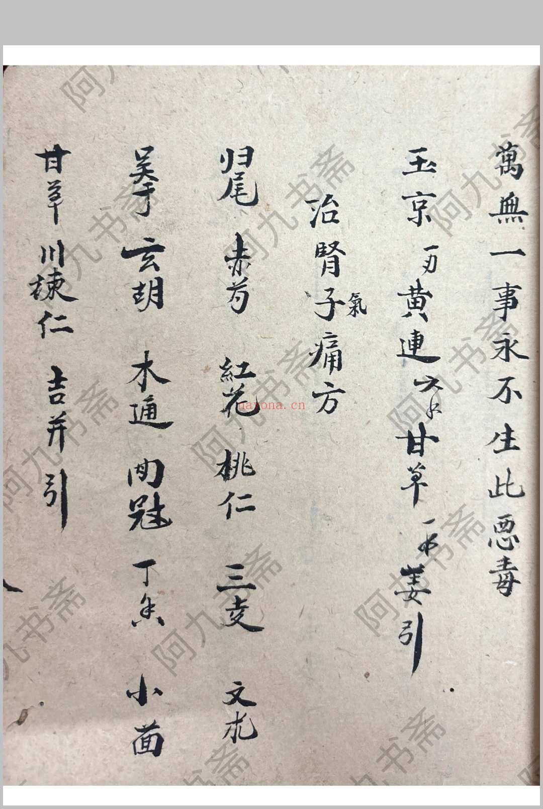 衣钵秘传 （医） 郑惠寿