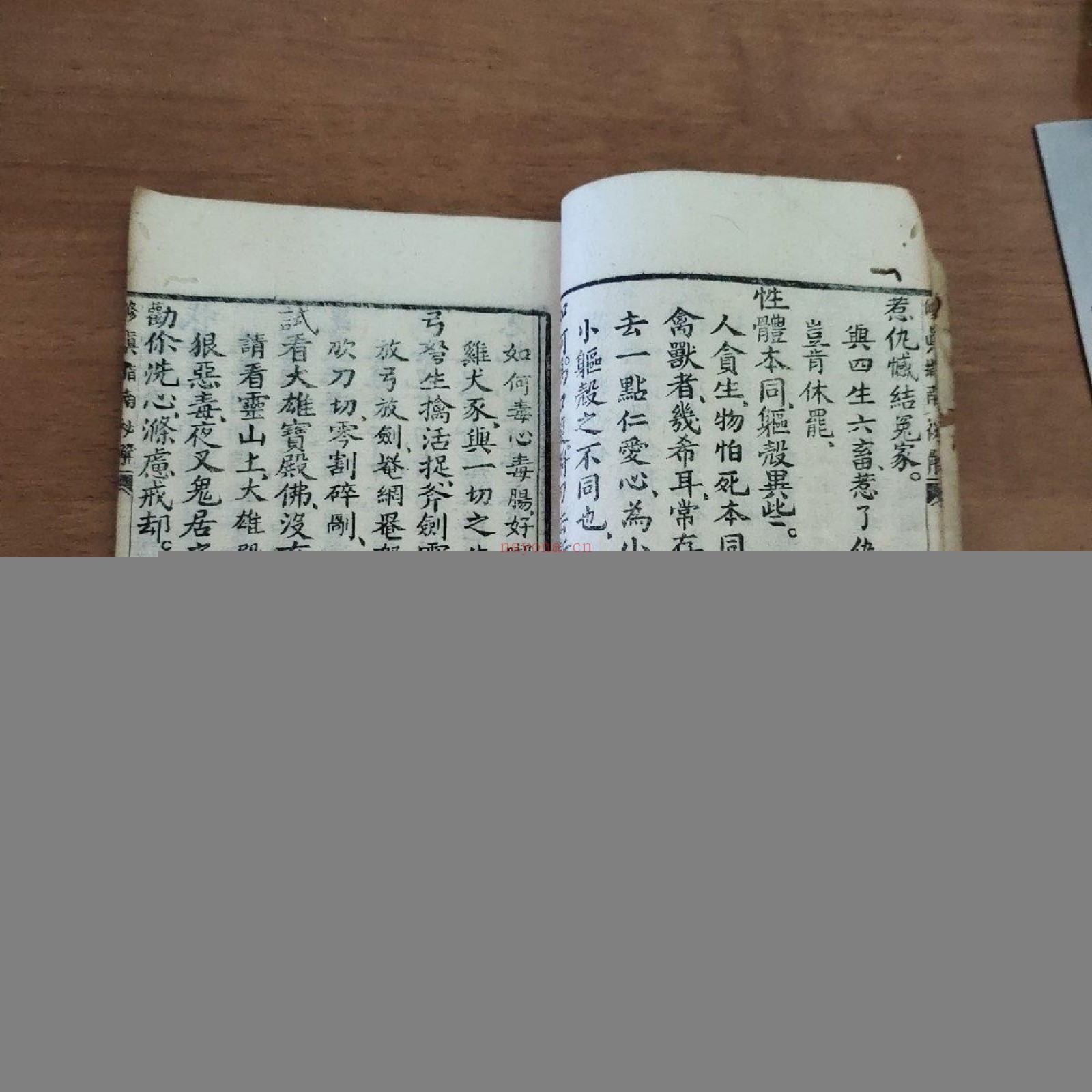修真指南秘解