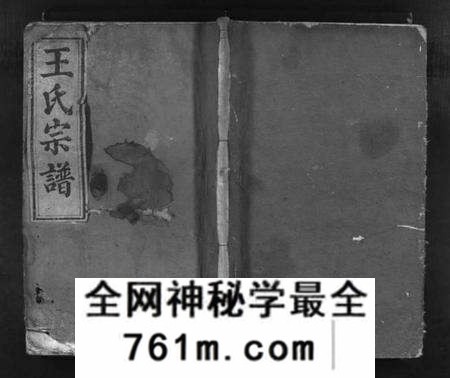 湖北王氏族谱-王氏宗谱 [8卷](别名：Wang Shi Zong Pu).pdf电子版