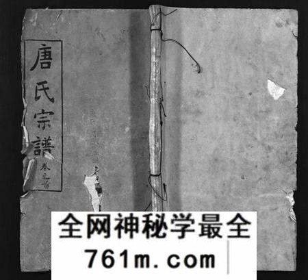 湖北唐氏族谱-唐氏宗谱 [12卷,卷1首](别名：Tang Shi Zong Pu).pdf电子版