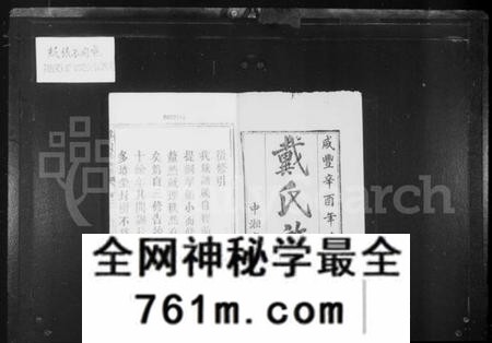 湖南戴氏族谱-鹤岭戴氏四修族谱 _ [40卷].pdf电子版