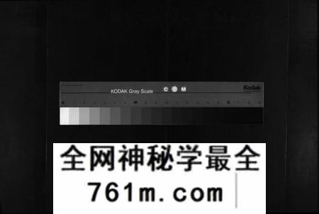 湖南郭氏族谱-桂东郭氏族谱[10卷].pdf电子版