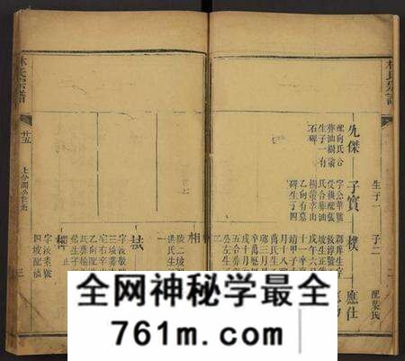 湖北林氏族谱-林氏宗谱[残卷](别名：Lin Shi Zong Pu).pdf电子版