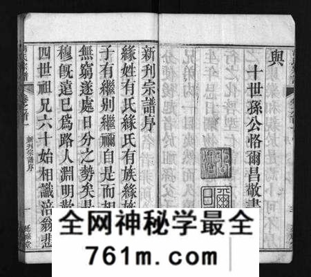 湖北胡氏族谱-胡氏宗谱 [20卷,首4卷](别名：Hu Shi Zong Pu).pdf电子版