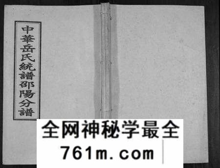 湖南岳氏族谱-中华岳氏统谱邵阳分谱[28卷].pdf电子版