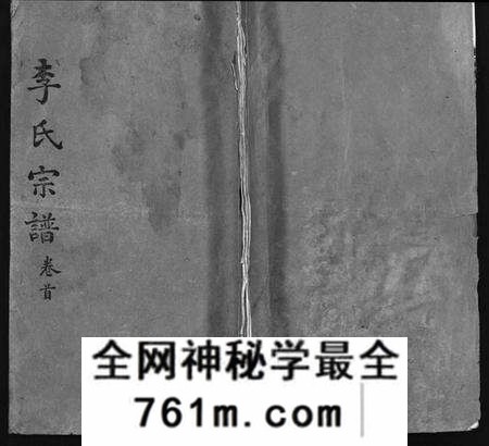 湖北李氏族谱-李氏宗谱 [10卷,含卷首](别名：Li Shi Zong Pu).pdf电子版
