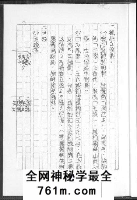 浙江王氏族谱-王氏家族祖谱.pdf电子版