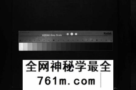 湖南刘氏族谱-中洲刘氏五修族谱 [不分卷].pdf电子版