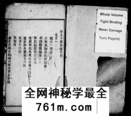 湖南陈氏族谱-陈氏族谱 [20卷,及卷首].pdf电子版