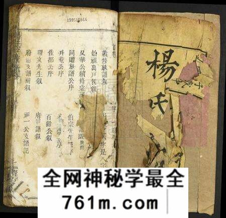 湖北杨氏族谱-杨氏宗谱.pdf电子版