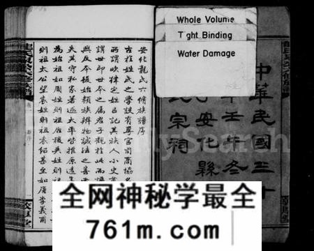 湖南龙氏族谱-龙氏泉公六修族谱 [20卷].pdf电子版