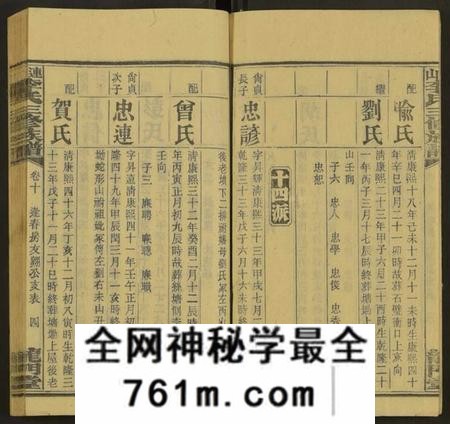 湖南李氏族谱-上湘李氏族谱 [42卷,首3卷,末1卷].pdf电子版