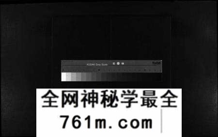 浙江李氏族谱-陇西郡李氏房谱 [不分卷].pdf电子版
