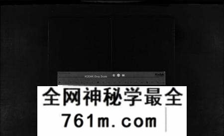浙江黄氏族谱-乐清市雁荡镇殿东黄氏宗谱总谱 [不分卷].pdf电子版