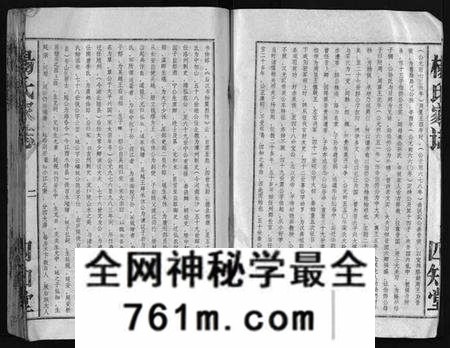 湖北杨氏族谱-杨氏家志 [按房分卷,首1卷](别名：Yang Shi Jia Zhi、杨氏家志).pdf电子版