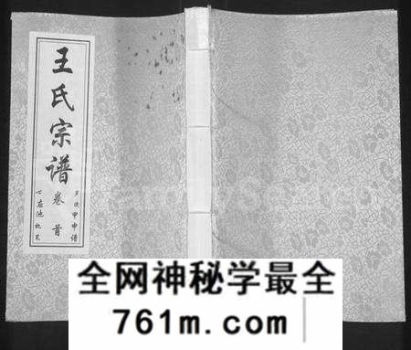 湖北王氏族谱-王氏宗谱 [11卷,首1卷].pdf电子版