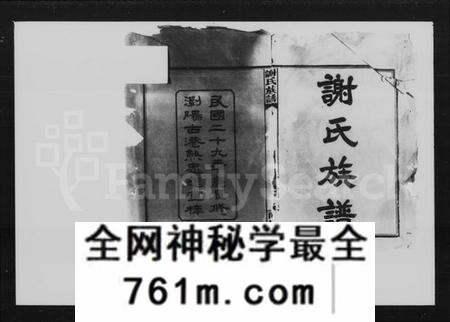 湖南谢氏族谱-谢氏族谱 [38卷,首4卷].pdf电子版