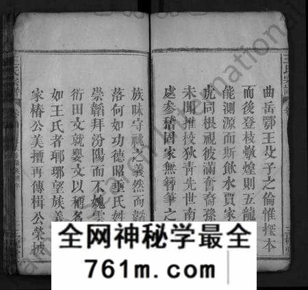 湖北王氏族谱-王氏宗谱 [8卷,首1卷](别名：义水王氏宗谱、Wang Shi Zong Pu).pdf电子版