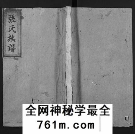 广东、福建张氏族谱-张氏族谱[总卷数不详].pdf电子版