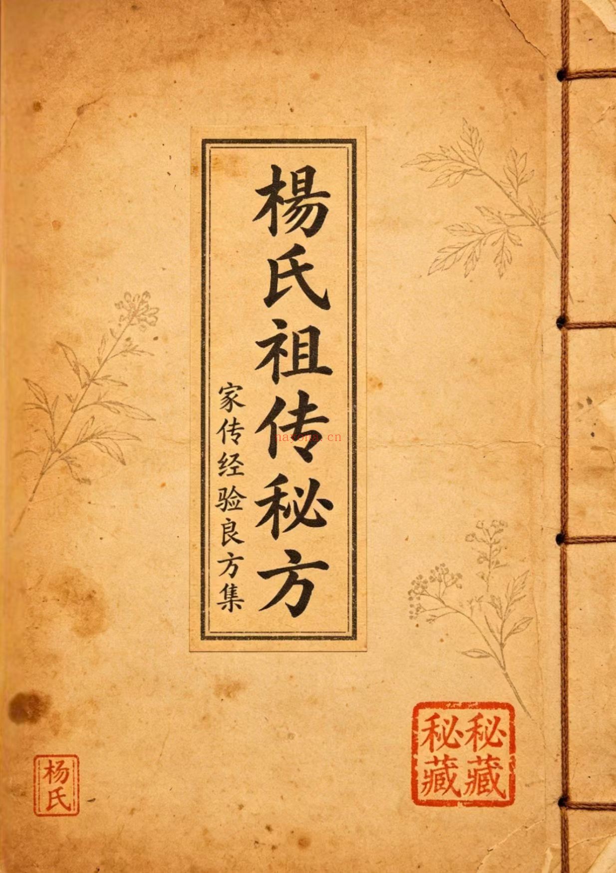 杨氏祖传秘方