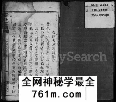 湖南叶氏族谱-叶氏宗谱 [卷数不明].pdf电子版