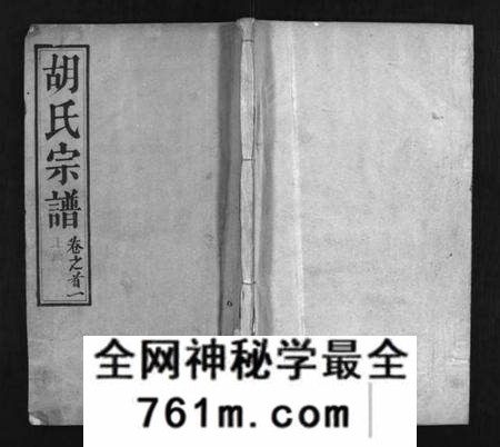 湖北胡氏族谱-胡氏宗谱 [20卷,首4卷](别名：Hu Shi Zong Pu).pdf电子版
