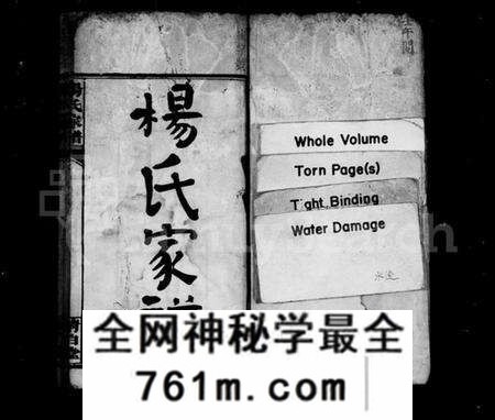 湖南杨氏族谱-杨氏家谱 [32卷,及卷首].pdf电子版