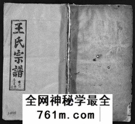 湖北王氏族谱-王氏宗谱[12卷](别名：Wong Shi Zong Pu).pdf电子版
