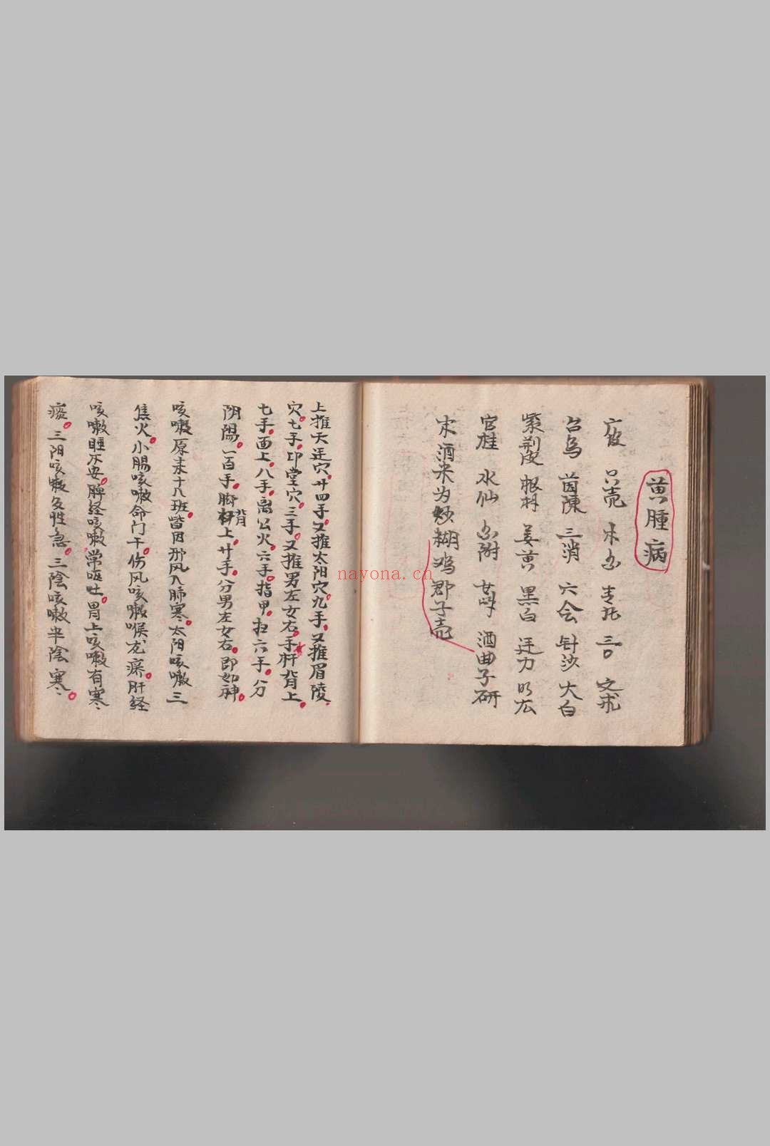 《灵仙神》水师自记