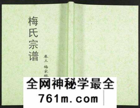 湖北梅氏族谱-梅氏大成宗谱.pdf电子版