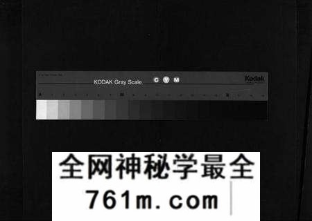 湖北王氏族谱-王氏宗谱 [8卷,首3卷](别名：Wang Shi Zong Pu).pdf电子版