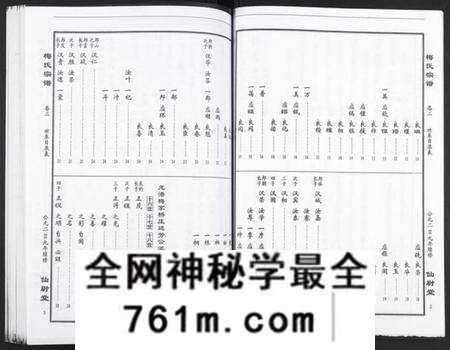 湖北梅氏族谱-梅氏大成宗谱.pdf电子版