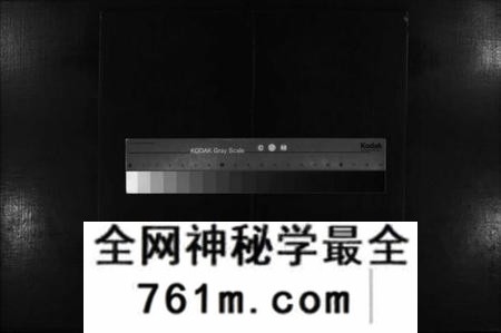 湖南郭氏族谱-郭氏族谱 [不分卷].pdf电子版