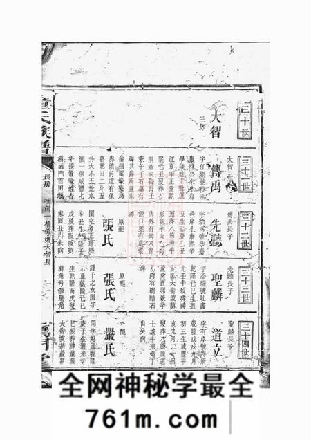 长沙雁门堂童氏族谱不分卷