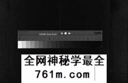 湖北董氏族谱-董氏宗谱 [9卷,首1卷](别名：Dong Shi Zong Pu).pdf电子版