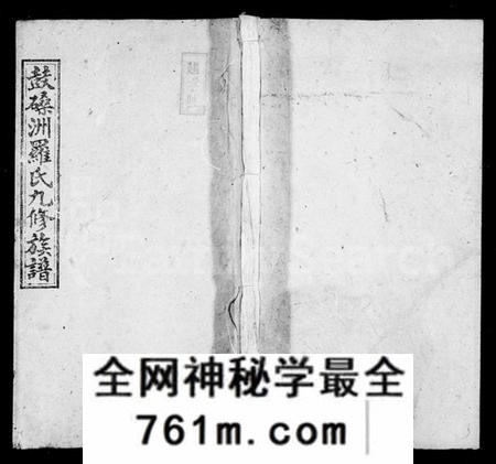 湖南罗氏族谱-罗氏九修族谱 [10卷,首末各1卷].pdf电子版