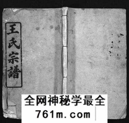 湖北王氏族谱-王氏宗谱 [5卷,首1卷](别名：Wang Shi Zong Pu).pdf电子版
