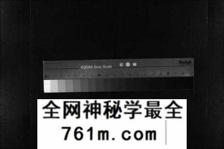 湖北王氏族谱-王氏族谱 [8卷](别名：Wang Shi Zu Pu、王氏宗谱).pdf电子版