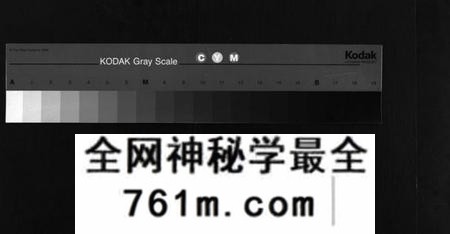 湖南杨氏族谱-杨氏四修族谱 [8卷,首1卷,末3卷].pdf电子版