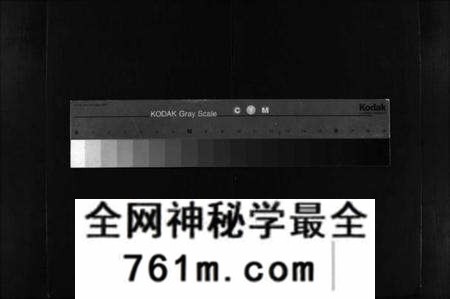 湖北金氏族谱-金氏宗谱 [49卷,首3卷](别名：Jin Shi Zong Pu).pdf电子版