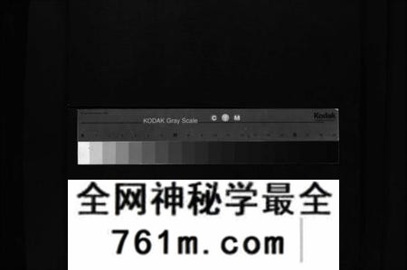 湖南罗氏族谱-罗氏重修宗谱 [29卷,首1卷].pdf电子版