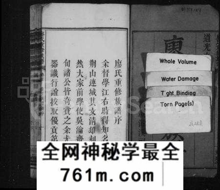 湖南廖氏族谱-廖氏重修族谱 [16卷,首1卷].pdf电子版