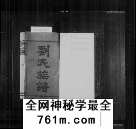 湖南刘氏族谱-刘氏八修族谱 [卷数杂异].pdf电子版