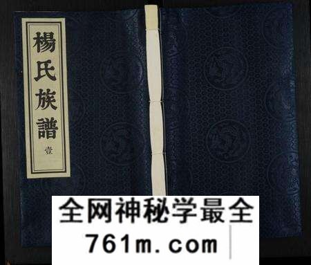 江苏杨氏族谱-杨氏族谱 [8卷](别名：维扬江都杨氏重修族谱).pdf电子版