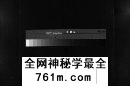 湖北陈氏族谱-义门陈氏宗谱[12卷](别名：Yi Men Chen Shi Zong Pu、义门陈氏宗谱).pdf电子版