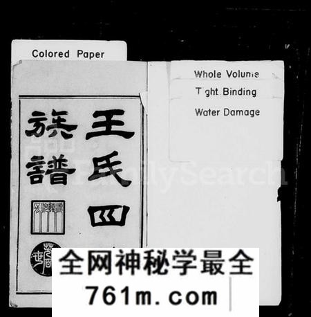 湖南王氏族谱-王氏四修族谱 [12卷,首末各1卷].pdf电子版