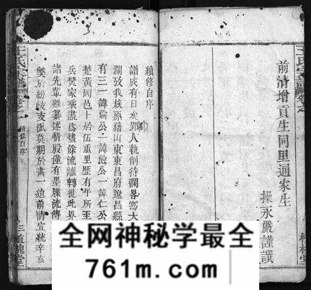湖北王氏族谱-王氏宗谱[12卷](别名：Wong Shi Zong Pu).pdf电子版