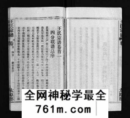 湖北王氏族谱-王氏宗谱 [按支分卷,首4卷](别名：Wang Shi Zong Pu).pdf电子版
