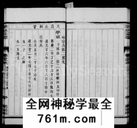 江苏许氏族谱-润州开沙许氏宗谱 [10卷](别名：许氏宗谱).pdf电子版